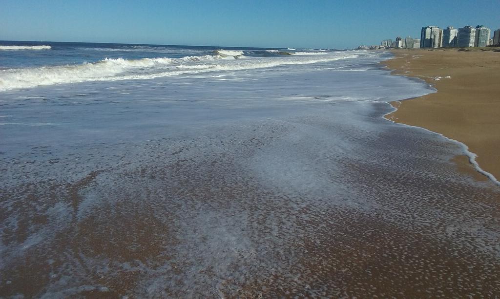 Spiaggia Brava Punta Punta del Este Extérieur photo